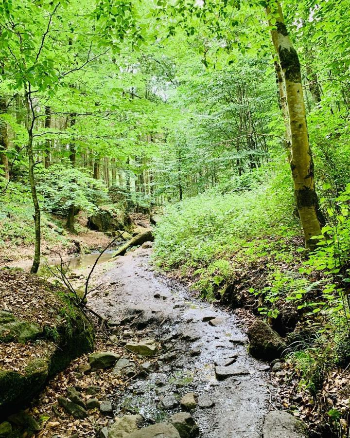 Tailor'S Trail Gite D'Adventure Beaufort Mullerthal Экстерьер фото